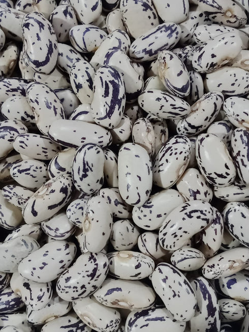 Hetha Himalayan Chitkabra Rajma